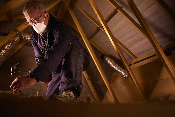 Best Residential Insulation in Syracuse, KS